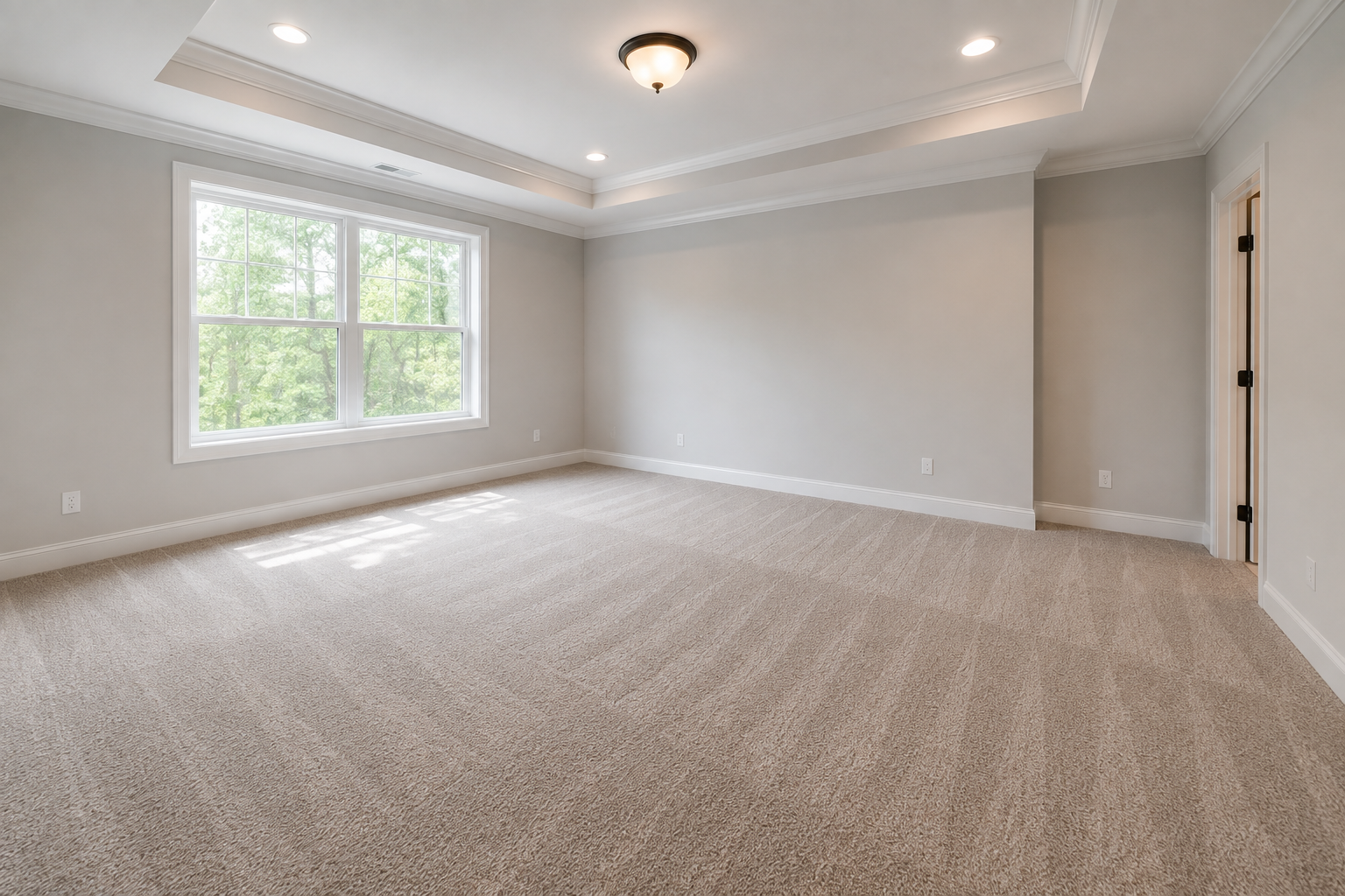 Empty bedroom with freshly installed neutral carpet, light gray walls, white trim, and natural light from a large window.